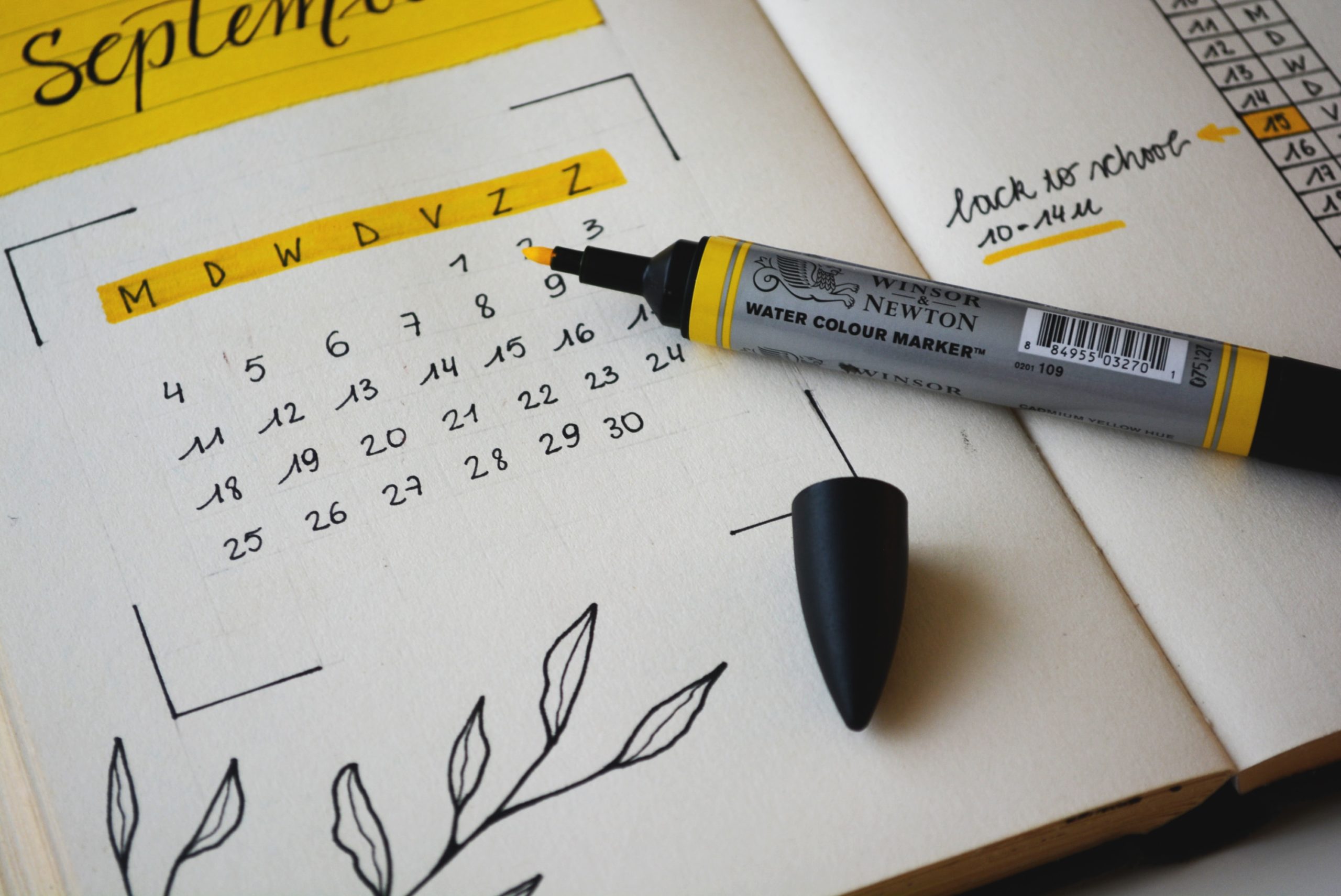 How Content Calendars can Elevate Your Social Media